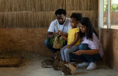Asya kökenli Afro-Amerikan ailesi çocukları hayvanat bahçesine getirerek tatilde dinleniyor ve tavşanları besliyor.