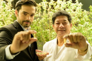 Kenevir tarlasını işleten çiftlik sahipleri ve bilim adamları. Esrar tarlasında esrar yağı ve esrar ürünlerinin bütünlüğünü doğrula.