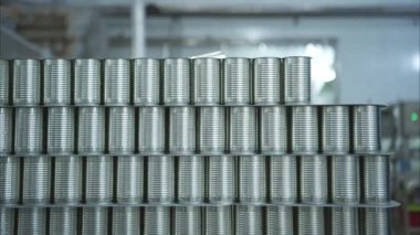 Konserve balık fabrikasında işlem ve üretim hattı