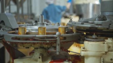 Konserve balık fabrikasında işlem ve üretim hattı