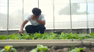 Bir seradaki marul bitkilerini inceleyen, sürdürülebilir tarım ve bitki sağlığı hakkında bilgi edinen gençlerin portresi