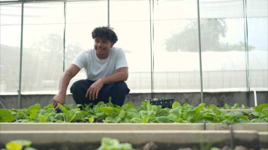Bir seradaki marul bitkilerini inceleyen, sürdürülebilir tarım ve bitki sağlığı hakkında bilgi edinen gençlerin portresi