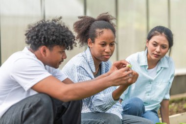 Bir seradaki marul bitkilerini inceleyen, sürdürülebilir tarım ve bitki sağlığı hakkında bilgi edinen bir grup genç.