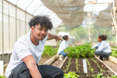 Bir seradaki marul bitkilerini inceleyen, sürdürülebilir tarım ve bitki sağlığı hakkında bilgi edinen bir grup genç.