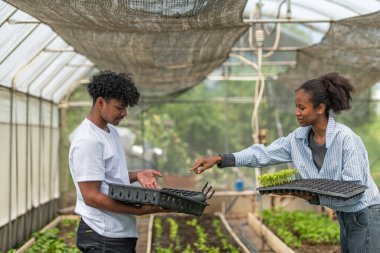 Bir serada filizlenen filizlenmeyi tartışan ve elinde tepsiler dolusu filizle sürdürülebilir tarım yapmayı öğrenen iki genç insan.