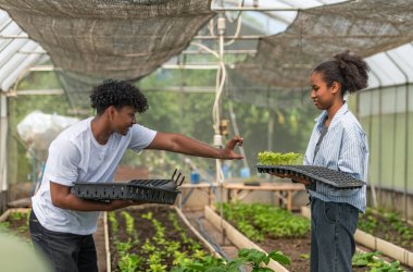 Bir serada filizlenen filizlenmeyi tartışan ve elinde tepsiler dolusu filizle sürdürülebilir tarım yapmayı öğrenen iki genç insan.