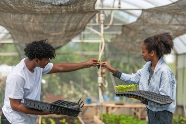 Bir serada filizlenen filizlenmeyi tartışan ve elinde tepsiler dolusu filizle sürdürülebilir tarım yapmayı öğrenen iki genç insan.