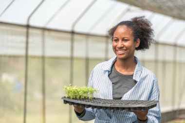 Bir seradaki marul bitkilerini inceleyen, sürdürülebilir tarım ve bitki sağlığı hakkında bilgi edinen gençlerin portresi