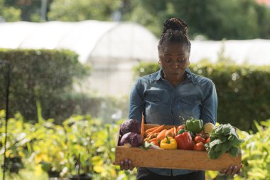 Bir tepsi meyve ve sebzeyle kadın portresi, öğrenme ve bahçeyle geçen bir günün tadını çıkarıyor.