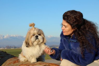 A Shih Tzu dog sitting on a fallen tree extends a paw to its owner (part of the 