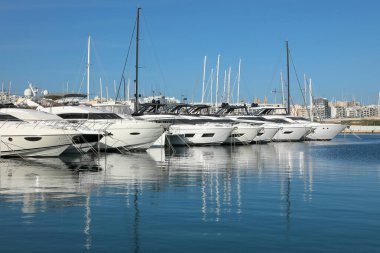Liman setinde beyaz ve siyah renkli demirleme çizgilerinin bağlandığı bir deniz kabuğu var..