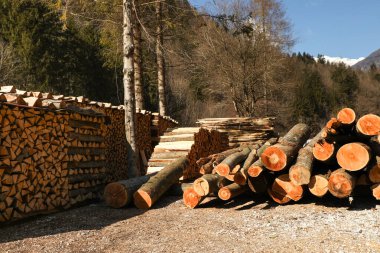 Kereste fabrikasının yanındaki kereste fabrikasında yakacak odun ve ağaç kütükleri düzgünce ve sevgiyle istiflenmiştir.