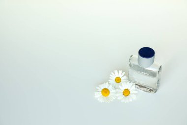 Papatya çiçekleri ve bir şişe parlak tıraş losyonu parlak bir arkaplana karşı temiz, minimalist bir kompozisyon oluşturur. Doğal bakım, cilt bakımı ve basit zarafet temaları için ideal..