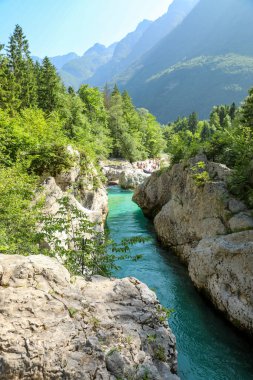 Soa Nehri 'nin sersemletici zümrüt suları Slovenya' da kayalık uçurumlar ve el değmemiş vahşi doğayla çevrili dar ve pitoresk bir kanyondan akıyor..