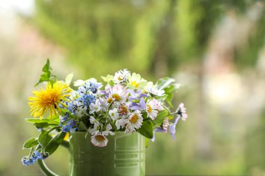 Karahindiba çiçekleri, unutma beni çiçekleri, papatyalar ve yeşil bir kaptaki diğer yabani çiçekler..