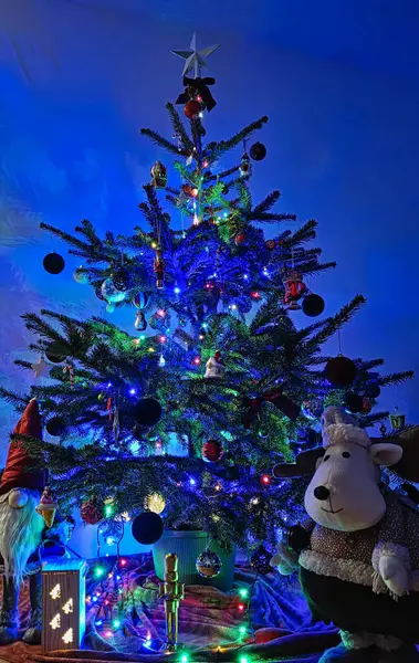 Renkli ışıklar, süslerle süslenmiş bir Noel ağacı ve bir cüce, peluş koyun ve aydınlatılmış Noel dekoruyla çevrili bir yıldız süsü. Işıl ışıl mavi renkleri olan samimi bir tatil ortamı.