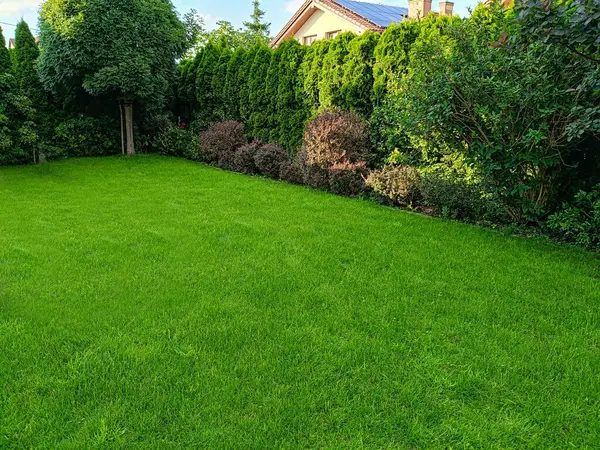Canlı yeşil bir çimenlik, yemyeşil çalılar ve ağaçlarla çevrili, arka planda kısmen görünür bir ev. İyi korunan bahçe, sakin ve güzel bir açık hava havası yayar..