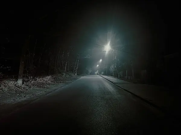 Ağaçlar ve çitlerle çevrili gizemli ve boş bir yol sisli bir gecede loş ışıklarla çevrili, yalnız ve sinematik bir atmosfer yakalıyor..