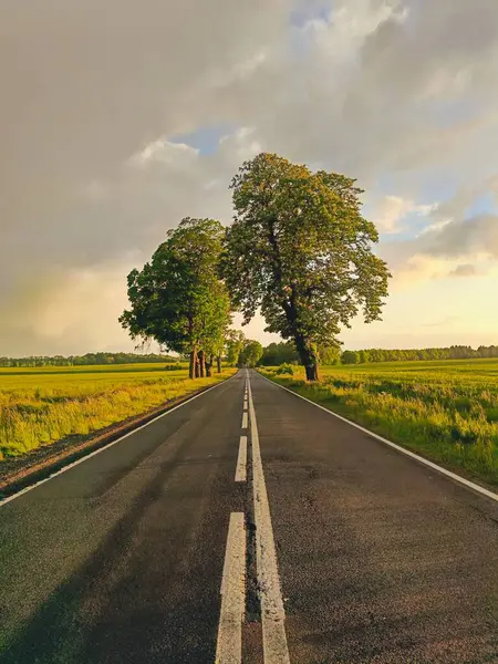 Uzak mesafelere uzanan çift beyaz çizgili düz bir kır yolu, dramatik akşam gökyüzünün altında yeşil ağaçlar ve tarlalarla kaplı. Yolculuk, seyahat, özgürlük ve yön kavramı.