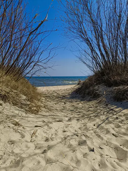 Kum yolu kuru çalıların arasından berrak mavi gökyüzünün altındaki sakin denize çıkıyor. Güneşli bahar gününde çekilmiş kıyı manzarası. Konsept: tatil, özgürlük, seyahat tutkusu, doğayla bağlantı.
