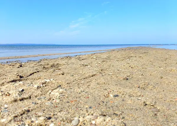 Kumsalda deniz kabukları ve çakıl taşlarıyla yakın çekim, sakin mavi deniz ve güneşli bir günde açık gökyüzü. Minimalist yaz deniz manzarası, huzurlu tatil geçmişi, insan yok..