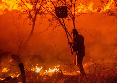 Firefighters and brigade teams from Pantanal farms, fighting forest fires. Corumb, Pantanal, Brazil. clipart