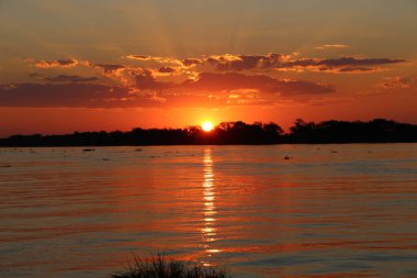 Brezilya, Mato Grosso do Sul, Corumb 'daki Paraguay Nehri üzerinde çarpıcı bir günbatımı gökyüzünü aydınlatır. Ateşli turuncu ve altın renkler suya çok güzel yansıyor. Huzurlu ve hayranlık verici bir sahne yaratıyor..