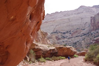 Capital Resifi bir akvaryumun içinden geçiyor.
