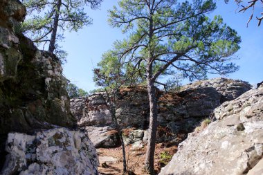 Arkansas, Petit Jean Eyalet Parkı 'nda kayalık oluşumlar ve çam ağaçları açık mavi gökyüzüne karşı yükseliyor. Engebeli kayalıklar ve Ozark manzarasının doğal güzelliği gözler önüne seriliyor..