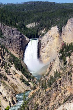 yellowstone Nehri'nin üst falls