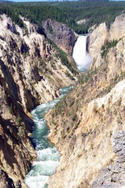 Yellowstone Nehri 'nin Aşağı Şelaleleri Yellowstone Büyük Kanyonu' na dökülüyor. Yellowstone Ulusal Parkı, Wyoming 'de dramatik bir dönüm noktası..
