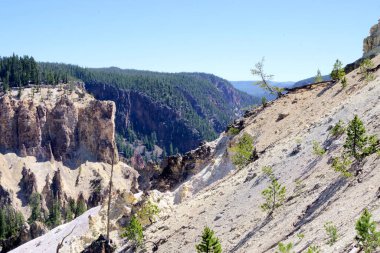 Yellowstone, Yellowstone Ulusal Parkı, Wyoming 'deki Büyük Kanyon' un aşınmış kayalıkları ve orman sırtları..