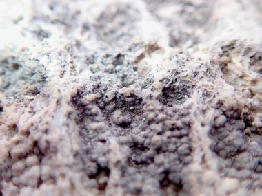 Mammoth Kaplıcaları, Yellowstone Ulusal Parkı, Wyoming 'deki jeotermal mineral yataklarının yakın çekim makrosu..