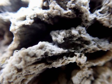 Kaba kaya yüzeyinin doğal desenleri ve katmanlarıyla yakın çekim makro dokusu soyut arka planlar veya jeoloji temaları için idealdir..