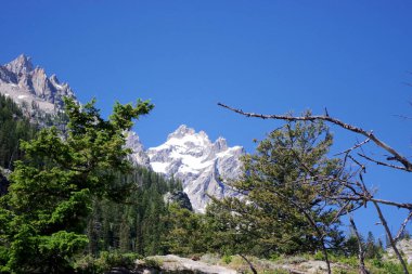 Teton Sıradağlarının karlı zirveleri Grand Teton Ulusal Parkı, Wyoming 'deki ilham noktasından izleniyor..