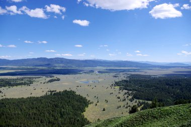 Grand Teton Ulusal Parkı 'ndaki geniş vadi ve orman manzarası, Wyoming, uzak dağlar ve yaz gökyüzü.