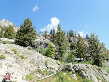 Jenny Lake, Wyoming yakınlarındaki ilham noktasında, uçurum manzaralı bir yürüyüş sürüsü. 