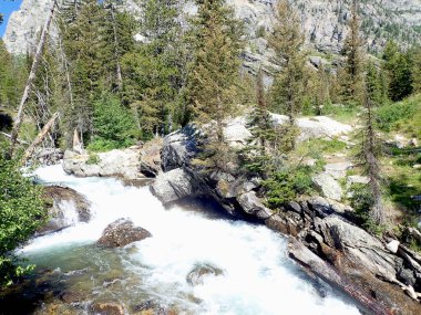 Grand Tetons Ulusal Parkı 'ndaki Cascade Creek manzarası