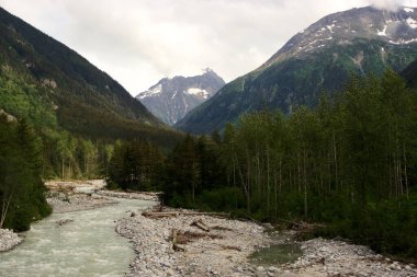 Skagway, Alaska 'da sık ormanlar ve yüksek dağlarla çerçevelenmiş dolambaçlı bir nehrin çarpıcı manzarası. Karla kaplı tepeler ve engebeli arazi bereketli yeşillikle çok güzel tezat oluşturuyor ve Alaska 'nın vahşi doğasının pitoresk bir temsilini oluşturuyor.. 