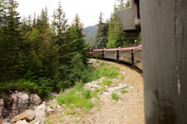 Beyaz Geçit & Yukon Rotası 'ndan manzaralı bir an, dağlık patika boyunca uzanan tarihi tren kıvrımlarını gözler önüne seriyor. Alaska, Skagway yakınlarında yakalanan bu ikonik demiryolu gezisi nefes kesici manzaralar sunuyor.