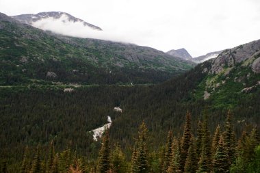 Bu manzara, Skagway, Alaska yakınlarındaki engebeli Beyaz Geçit bölgesindeki yemyeşil bir ormanlık vadiden geçen çağlayan bir şelaleyi yakalar. Dramatik dağ zirveleri ile çevrili kısmen bulutlarla örtülü, bu doğal mucize bir vurgu.