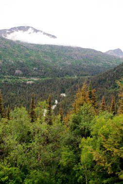 Beyaz Geçit bölgesinde sık ormanlarla çevrili, Skagway, Alaska yakınlarındaki Beyaz Geçit ve Yukon Demiryolu 'nda bir tren yolculuğu sırasında çekilen çoklu çağlayan şelalenin çarpıcı bir görüntüsü. Canlı yeşillik ve yükselen dağlar bir berber oluşturur.
