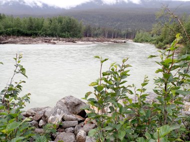 Skagway, Alaska 'da yoğun ormanlar ve sisli dağ manzaralarıyla çevrili kayalık bir nehir kıyısı ve sakin suların manzarası. Bakir doğada huzurlu bir an..