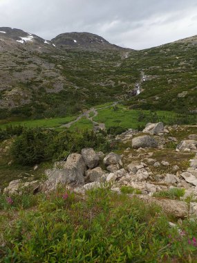 Alaska, Skagway yakınlarında kayalık arazi ve yemyeşil yemyeşil ile çevrili, yükselen bir dağ deresi olan sakin bir Alp Vadisi. Dokunulmamış vahşi doğanın sakin bir sahnesi..