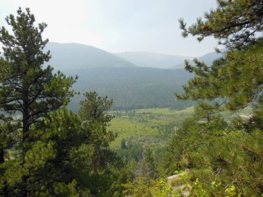 Çam ağaçlarının çerçevelediği yemyeşil bir orman vadisinin çarpıcı manzarası doğanın enginliğini ve dingin yeşil manzarayı gözler önüne seriyor..