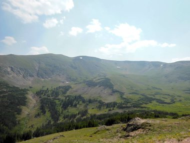 Geniş dağlık çayırlarda yemyeşil çayırlar ve yumuşak mavi gökyüzünün altında engebeli tepeler. Yüksek rakımlı sakin bir manzara Güzellik ve sükunet.