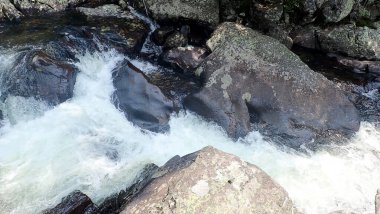 Close-up of rushing mountain rapids cascading over mossy rocks, showcasing the power and beauty of nature. clipart