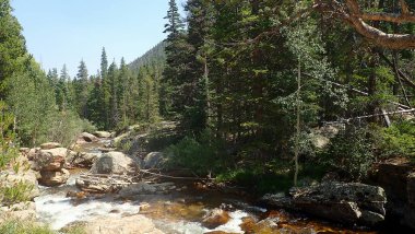 A serene mountain stream meanders through a lush forest of evergreen and aspen trees. Clear water flows over smooth rocks, creating small rapids and inviting a sense of peace. Sunlight filters through the canopy, casting dappled light on the water an clipart