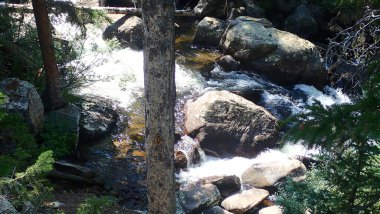 Bereketli yeşilliklerle çevrili ve uzun ağaçlarla gölgelenmiş sakin bir orman akıntısı büyük kayaların üzerinde çağlar..