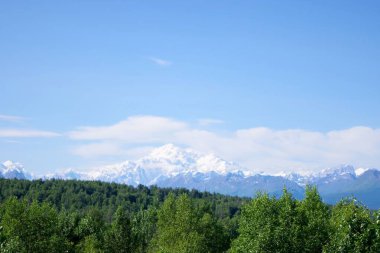 Derin Alaska ormanları tarafından çerçevelenmiş, berrak gökyüzünün altında nefes kesici Denali zirvesi. Unutulmaz bir macera için küçük bir zirve rotasının yakınında çekildi..